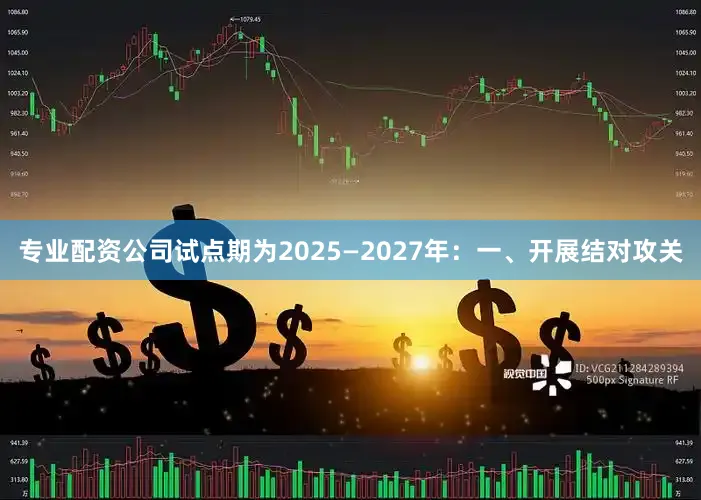专业配资公司试点期为2025—2027年：　　一、开展结对攻关