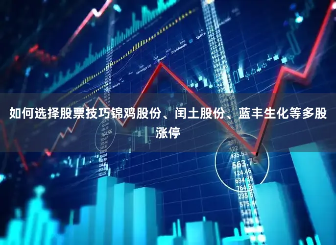 如何选择股票技巧锦鸡股份、闰土股份、蓝丰生化等多股涨停