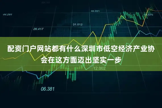 配资门户网站都有什么深圳市低空经济产业协会在这方面迈出坚实一步