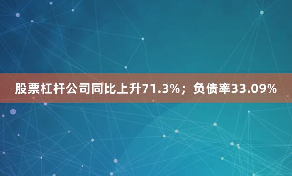 股票杠杆公司同比上升71.3%；负债率33.09%