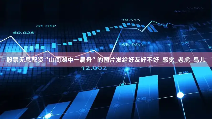 股票无息配资“山间湖中一扁舟”的图片发给好友好不好_感觉_老虎_鸟儿